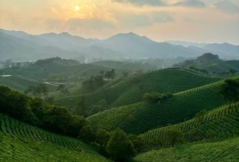 信阳市区往返包车｜南湾湖风景区-文新茶村一日游（多车型可选）【[一对一包车]专车上门接送，车辆费用全含】