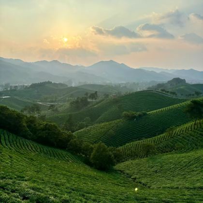 信阳市区往返包车｜南湾湖风景区-文新茶村一日游（多车型可选）