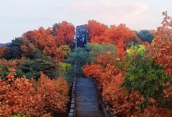 北京慕田峪长城+鼓楼胡同书法文化体验一日活动包车游上门接送【[保证承诺]优选商家舒适团，超级客服保姆式服务，私家小团五环内上门接送。】