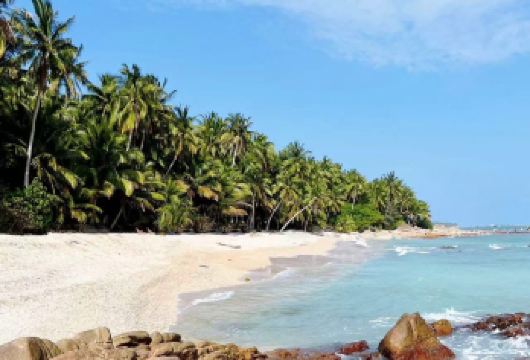 海南｜琼海自然生态+侨乡文化+海滨风情包车一日游【涵盖博物馆文化、宗教建筑、地质奇观、渔港生活、乡村田园、美食体验】