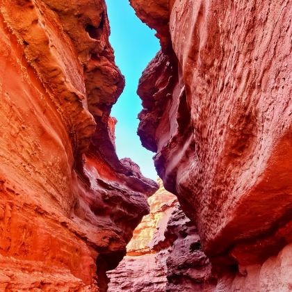 西部梦幻峡谷+阿贵庙+鸡鹿塞+大碱湖【拼车+包车】详询客服