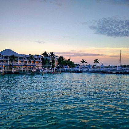 美国迈阿密+基韦斯特岛+海明威故居一日游【中文包车12小时】