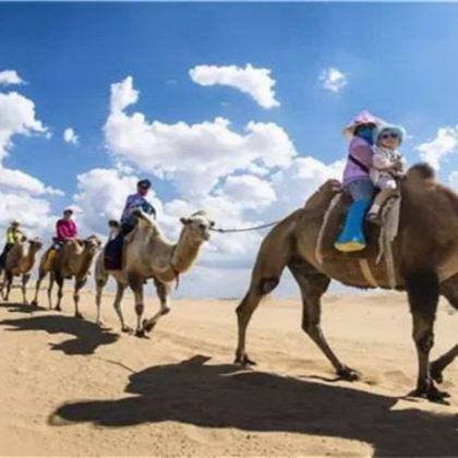 响沙湾一日游【含往返索道、仙沙岛或悦沙岛二选一 骑骆驼纯玩】