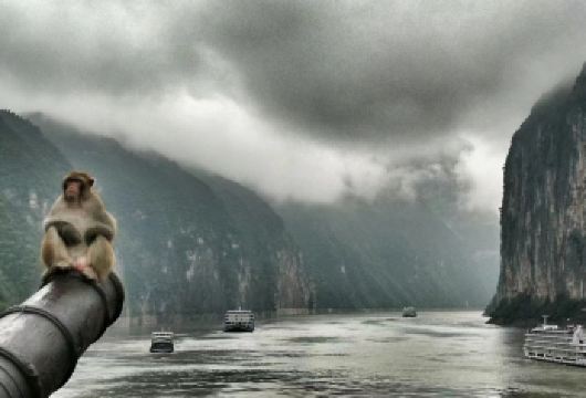 白帝城·瞿塘峡景区一日游【奉节白帝城·乘坐小红船-巫山解散】【巫山散团、体验三峡原生态，尽览三峡第一峡——瞿塘峡的顶美风光】