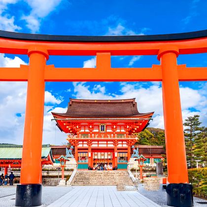 京都千年古寺、伏见稻荷大社、奈良一日游,奈良公园喂小鹿