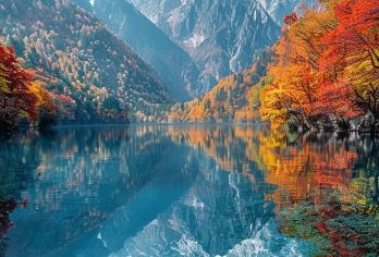 黄龙九寨站--九寨沟 直通车  保姆大巴/可选5座包车【时间灵活，可根据高铁时间选择对应车次】