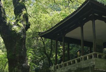 【云栖竹径】历史人文探秘｜古迹寻访与讲解【杭州本地文史品牌】