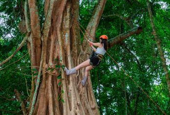 基诺山雨林徒步一日游【70%水路+基诺土著向导+项目全包】【[优选线路向导]优选基诺山么卓/新司土徒步线路，公司深度开发，优秀基诺山优质向导讲解带队！】