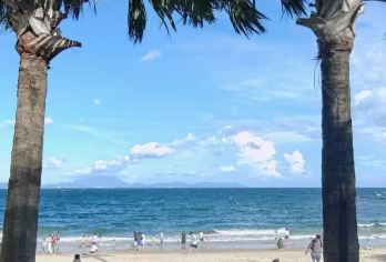 中国广州—深圳(大小梅沙+中英街）包车一日游/行程可调【[经典地标全覆盖]深入探索代表性景点，感受当地风土人情】