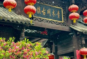 陇南出发青木川古镇1日游【武都起止·含门票·1—8人团】【青木川古镇1日游邂逅一代枭雄的传奇魏氏宅院】