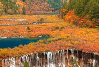 陇南出发九寨沟1日游【陇南武都起止·上门接送1—8人小团】【纯玩无购物·每日发车·九寨风景·轻松打卡游览·商务优先出行不等待】