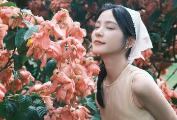 植物园+傣族园一日游 | 纯玩、全程不进购物店！【一日尽览雨林奇观与傣家风情，出片率100%，适合全年龄段，亲子游或结伴而行都开心！】