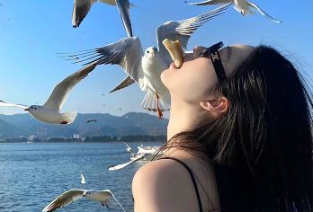 石林风景区+滇池一日游观鸥季【上门接丨金牌导游丨喂食红嘴鸥】【“世界奇观”与“城市绿肺”的完美组合，惬意漫步高原明珠滇池，与远道而来的红嘴鸥亲密互动】