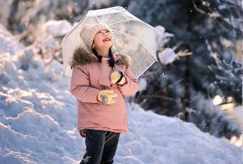 伊春+九峰山养心谷+金山鹿苑一日游【独立包车、时间您做主】【服务保证，携程担保，连续多年携程金牌店铺，年度服务奖。微信管家24小时服务️全程0购物， 品质保障。】