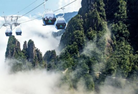 莽山五指峰景区一日游【东进东出=景点门票+上下索道+观光车】【省心纯玩，门票全含，免费接送站】