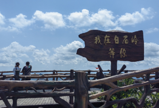 海南琼海白石岭+博鳌亚洲论坛+东屿岛+博鳌金湾海滩包车一日游【四大精华一网打尽，山景、人文、岛屿、海滩一次体验】