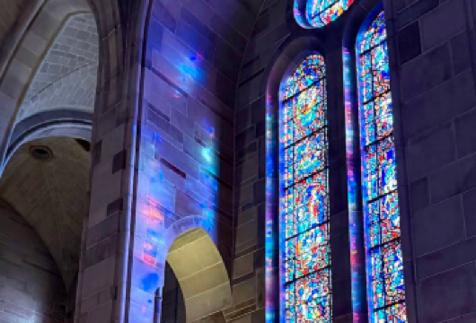 美国亚特兰大-大烟山国家公园-可定制【中文专车-悦享旅程】【中文专车出行，景点灵活调整，打卡经典，游玩自己定义，无需等待，专属贴心服务，尽享惬意旅程】