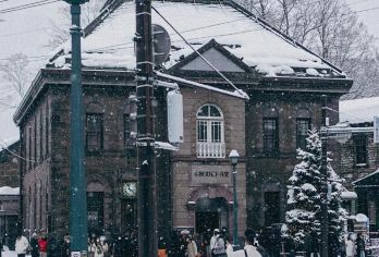 日本札幌往返大雪山国家公园-可小樽登别富良野北海道包车-精选【包车一日游，解锁旅行新方式！独立车辆配备经验丰富的老司机，为您量身打造专属行程。】