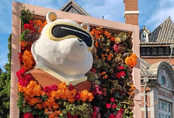 大连棒棰岛+莲花山观景台+星海广场+威尼斯一日游【[严选品质]真正0购物、0自费、纯净之旅。】