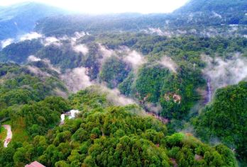 成都出发：雅安-碧峰峡+金凤寺一日游 包车 多语种导游C【全程中文/英文/俄语/小语种服务，沟通无障碍，景点可调,多种车型可选】