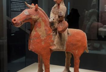 西安博物院+小雁塔+永兴坊+驼铃传奇+大唐不夜城/赠西博讲解【一半是历史一半故事；从西域到长安的丝绸之路的历史见证】