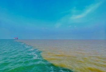 黄河口生态旅游区一日游【市区上门接+景交车+门票】【黄河从这里入海，形成海河交汇的奇观;】