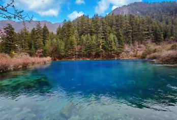 四川九寨沟一日自由行【门票+沟内观光车组合套餐】【无需跟团，自行前往】
