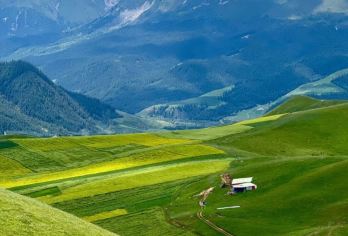 【包车】青海热门景区包车一日【每天8小时，行程可自行定制】【品质出游】