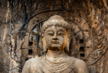 龙门石窟包团讲解（单独成团）【[深度文化解读]专业讲解员带您探索龙门石窟1500年艺术瑰宝，解析北魏至唐代造像风格演变】