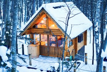 北海道人气景点一日游｜旭川动物园&网红树&白须瀑布&美瑛青池【随时接，上门接送，精品小团，包车出游，】