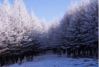 麻田岭徒步一日游【河北小天山+京西香格里拉10公里徒步环穿】【麻田岭，又名小天山，可能跟天山比较像，所以又有了小天山这么一个别称。】