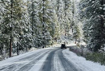 美国旧金山-优胜美地国家公园-酋长岩等-可包车-精选【专属客服和本地中文司机，一家一团包车】