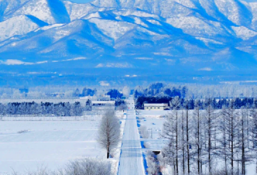 日本北海道+小樽天狗山一日游/行程可调-可定制【专属客服和本地中文司机，一家一团包车】