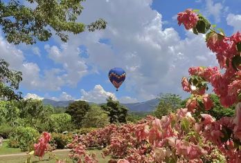 【店铺主页先领红包再下单】中科院植物园+傣族园一日游【感受漫画般的雨林秘境，参加天天傣家泼水节狂欢】