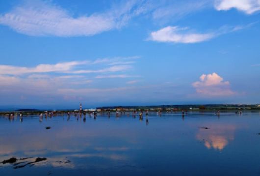 中国 台湾 台中 清境农场+高美湿地专车之旅【专车上门接送】