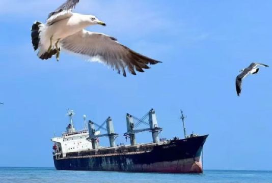 威海火炬八街+布鲁维斯+孤独公约+那香海等八大精华景点打卡【每天必发团，下单无忧，1人也发团，纯玩无购物。】