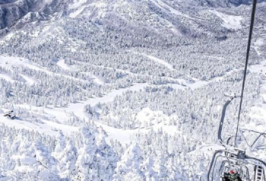 日本札幌出发打卡小樽积丹半岛/可登别富良野北海道多日包车精选【包车一日游，解锁旅行新方式！独立车辆配备经验丰富的老司机，为您量身打造专属行程。】