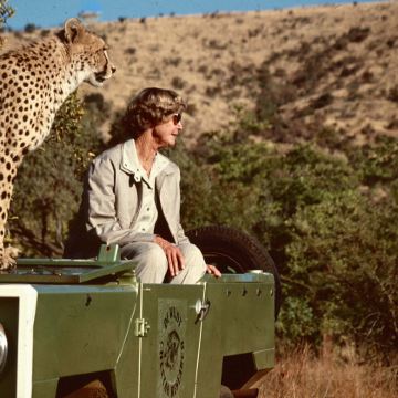 南非约翰内斯堡探索安·范戴克猎豹中心半日游