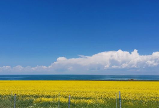 塔尔寺+青海湖一日游【日月山+拉脊山/上门接送小包团纯玩无购【精品线路/深度体验/游玩自由/消费透明】