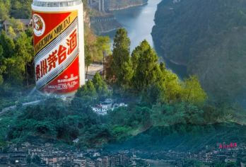 贵州遵义茅台镇纯玩一日活动【感受酱酒文化，赠送品酒活动】【科学行程：为贵州旅游代言，贵州龙头景区！ 纯玩一日游，品质之选！无购物安排，时间更充足，游览更尽兴】