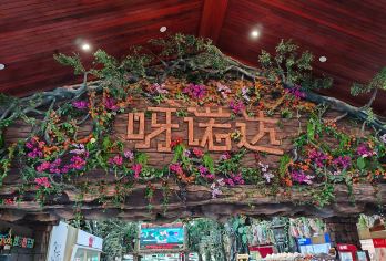 呀诺达热带雨林一日游【纯玩/车接车送/含门票/三亚十大景点】【呀诺达热带雨林森林公园】