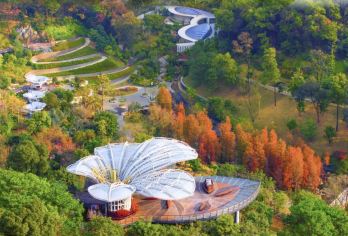 私家小团上门接送|广州南越王博物院+陈家祠+品西关美食一日游【私家旅行：一单一团，不拼客，专属旅行； 品质服务：小车上门接送，专职司机护航】
