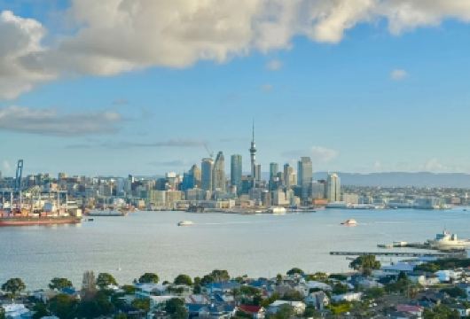 新西兰奥克兰市区网红景点鸟岛黑沙滩达文波特-包车-精选行程【精选热门景点，高效游玩不走回头路，深度了解文化内涵，贴心服务保障，轻松享受旅程，性价比超高的旅行。】