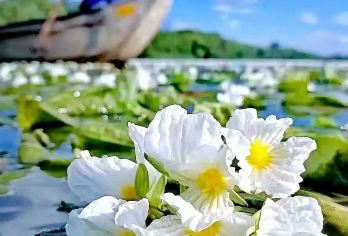 泸沽湖360°环湖包车一日游【纯玩专享|一单一团|洒店接送】【横跨川滇，一湖览两省风情】