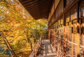 【京都赏枫名所】清水寺南禅寺永观堂金阁寺一日游【中文司机】【解锁本地人私藏路线，黄金路线规划，高效串联古今风华，全龄适配灵活，四季皆可寻美】