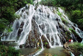【亲子优选】武夷山武夷桐木关1日：山野猴谷+打卡月亮湾【核心文化稀缺：打卡世界红茶发源地，深度探秘正山小种红茶历史与起源。】