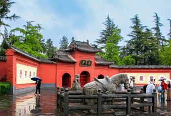 白马寺+洛阳博物馆+龙门石窟一日游【含导游讲解|洛博自行预约【佛教传入中国后的首座官办寺院，有中国佛教的“祖庭”和“释源”之称，距今1900年】