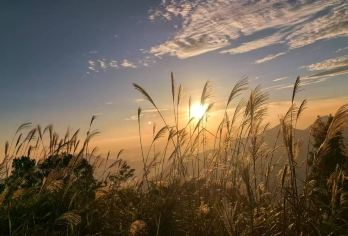 大南山精华线一日游·户外登山+赏高山大草坡芦苇荡【品质出游】