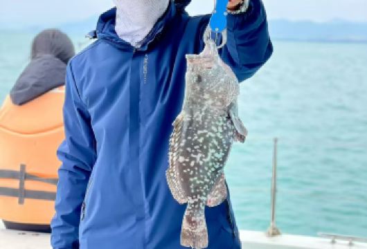 三亚海钓4-6小时 市区码头交通便利 提供鱼饵渔具矿泉水教学【三亚海钓俱乐部专业海钓艇 专业船长教学】