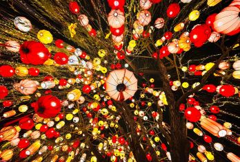 阳江包车9小时一日游|打卡海陵岛水晶宫+红树林国家湿地公园【专车无缝衔接，一日尽览水晶宫沉船传奇、大角湾亲水乐趣与红树林自然秘境】